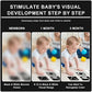 Baby Focus Flash Cards High Contrast