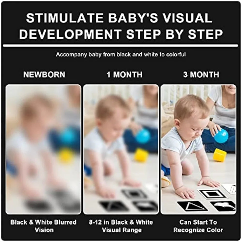Baby Focus Flash Cards High Contrast
